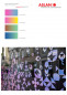 Preview: Aslan ColourShift SE71 - Farbwechselnde Vinylfolie