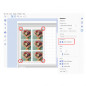 Preview: Brother Print to Cut für CanvasWorkspace