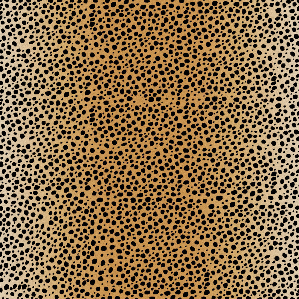 Cricut 2006764 Infusible Ink Transferfolie animal print