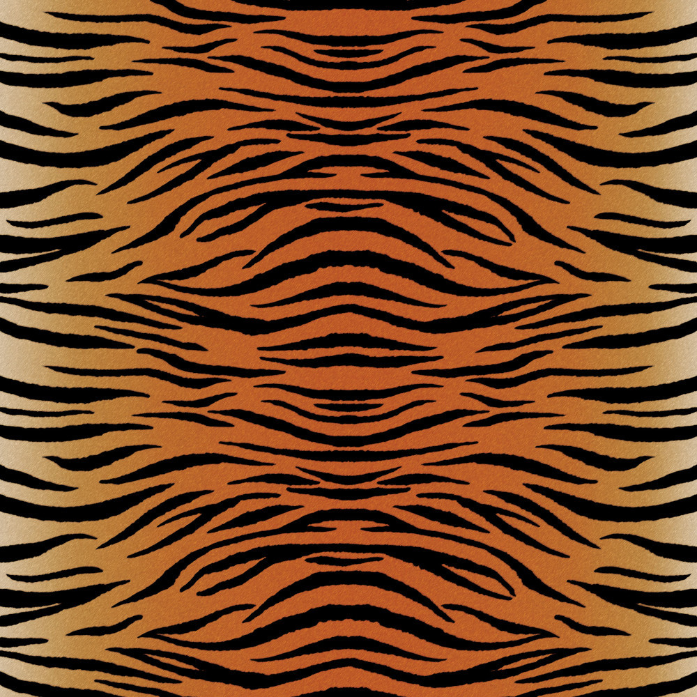 Cricut 2006764 Infusible Ink Transferfolie animal print